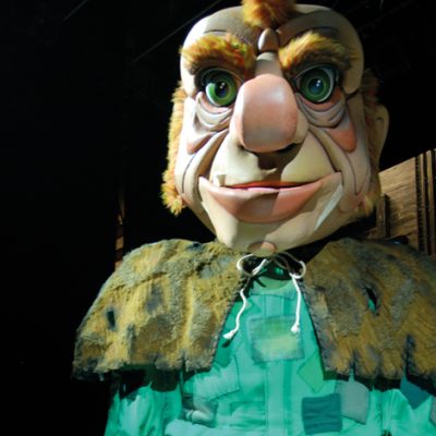 Panto Costume Panto Costume
