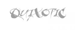 Hot Ice Quixotic Hot Ice Quixotic